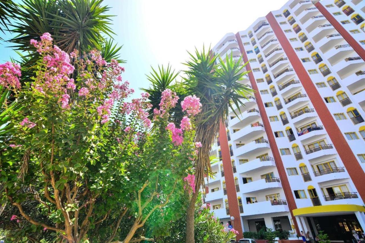 Oasis Apartment, Da Rocha Apartment